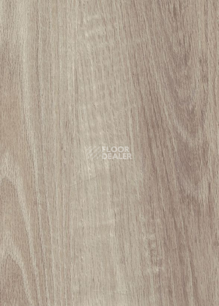 Кварцвиниловые полы Vertigo Trend / Wood 3101 CASHMERE OAK 184.2 мм X 1219.2 мм фото 1 | FLOORDEALER